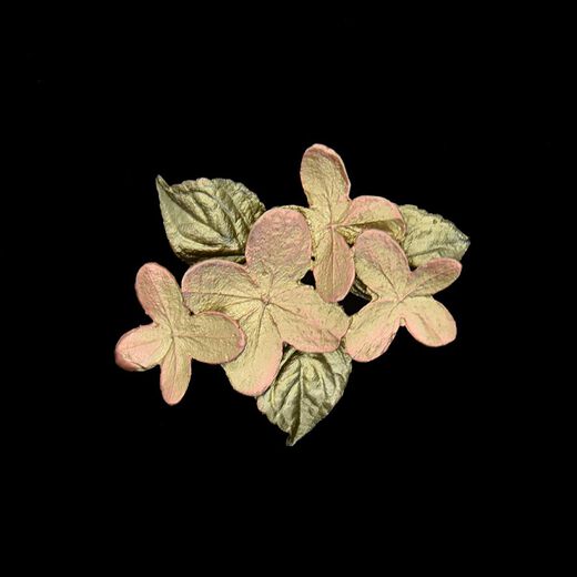 Hydrangea dainty brooch by Michael Michaud